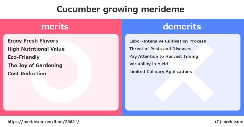 Cucumber  merits and demerits?  [growing]  merideme