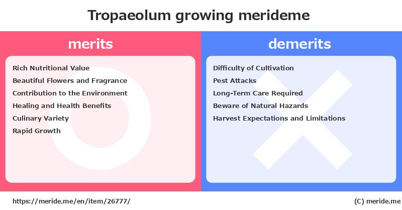 Tropaeolum  merits and demerits?  [growing]  merideme