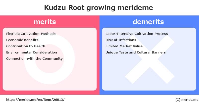 Kudzu Root  merits and demerits?  [growing]  merideme