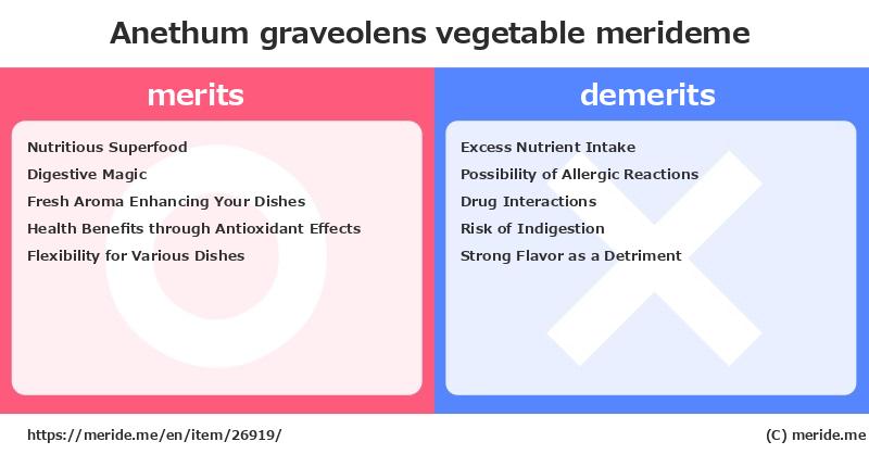 Anethum graveolens  merits and demerits?  [vegetable]  merideme