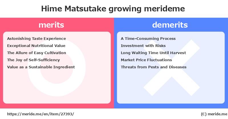 Hime Matsutake  merits and demerits?  [growing]  merideme