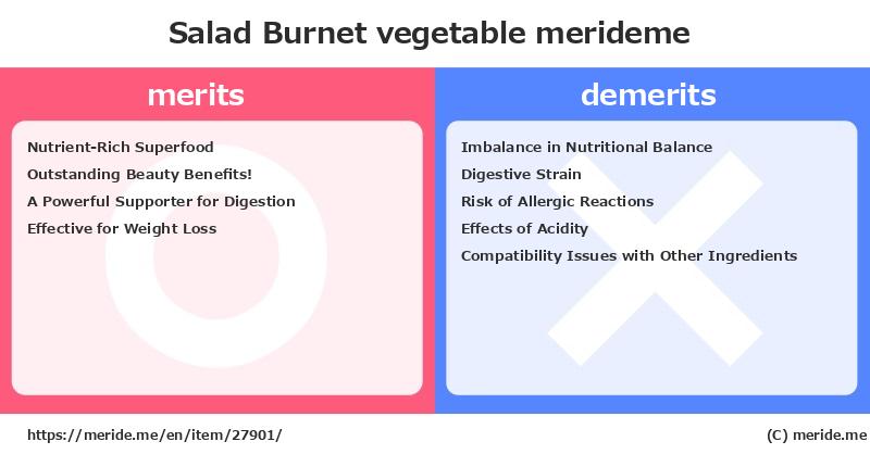 Salad Burnet  merits and demerits?  [vegetable]  merideme