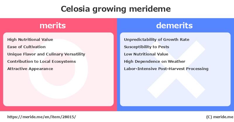 Celosia  merits and demerits?  [growing]  merideme