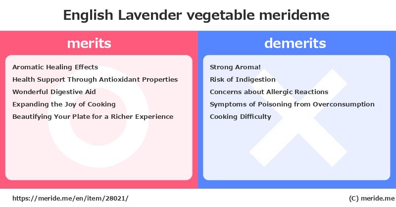 English Lavender  merits and demerits?  [vegetable]  merideme