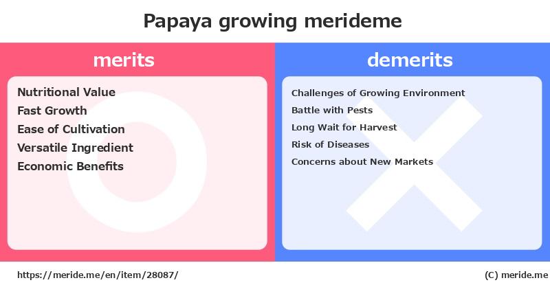Papaya  merits and demerits?  [growing]  merideme