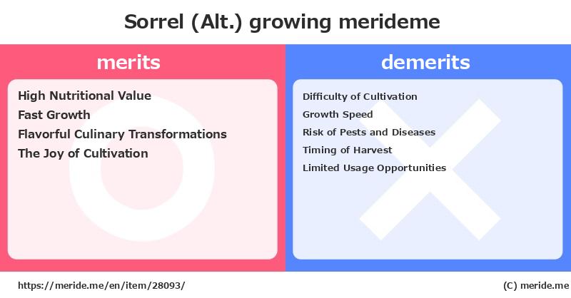 Sorrel (Alt.)  merits and demerits?  [growing]  merideme