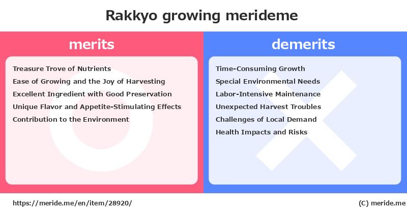 Rakkyo  merits and demerits?  [growing]  merideme