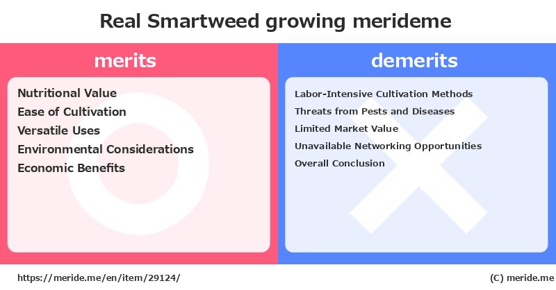Real Smartweed  merits and demerits?  [growing]  merideme