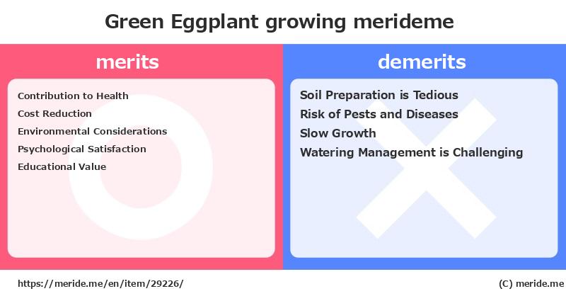 Green Eggplant  merits and demerits?  [growing]  merideme