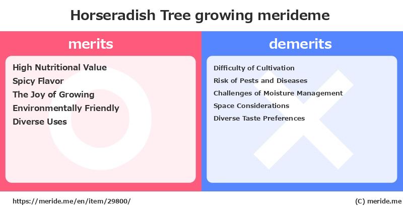 Horseradish Tree  merits and demerits?  [growing]  merideme