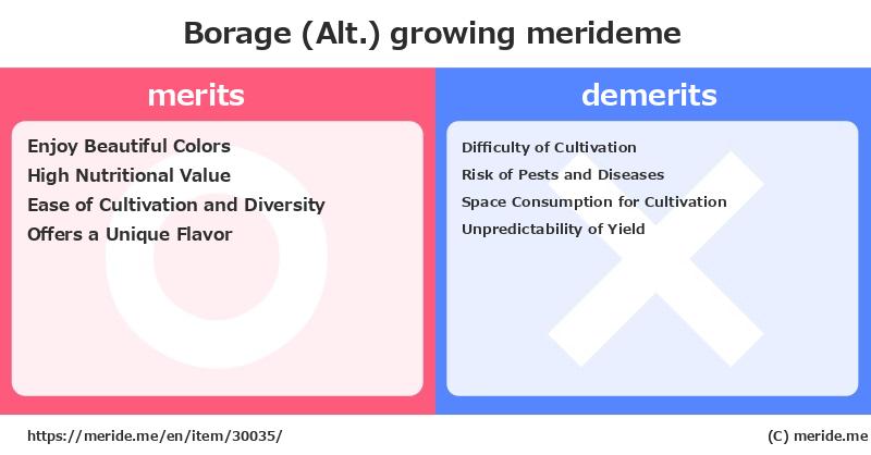 Borage (Alt.)  merits and demerits?  [growing]  merideme