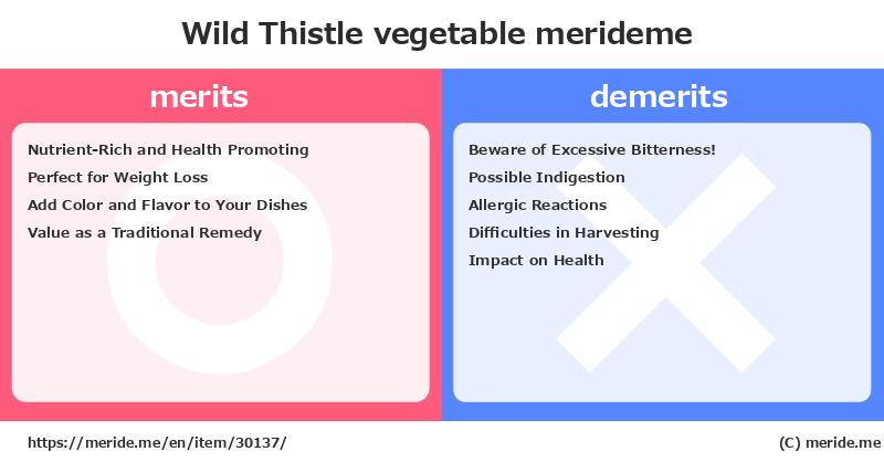 Wild Thistle  merits and demerits?  [vegetable]  merideme