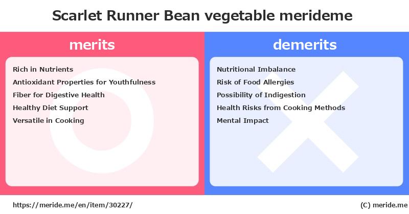 Scarlet Runner Bean  merits and demerits?  [vegetable]  merideme