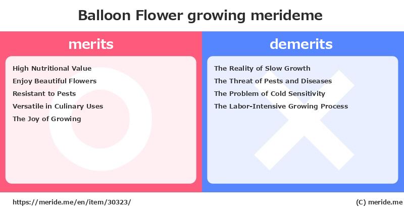 Balloon Flower  merits and demerits?  [growing]  merideme