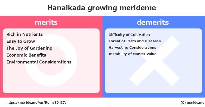 Hanaikada  merits and demerits?  [growing]  merideme