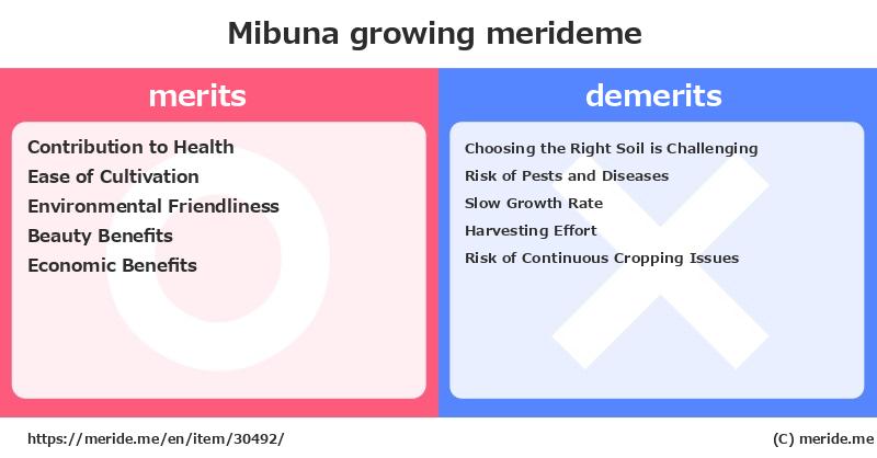 Mibuna  merits and demerits?  [growing]  merideme