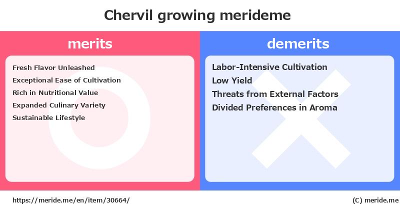 Chervil  merits and demerits?  [growing]  merideme