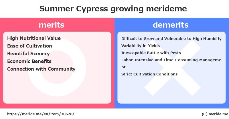 Summer Cypress  merits and demerits?  [growing]  merideme