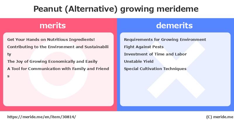 Peanut (Alternative)  merits and demerits?  [growing]  merideme