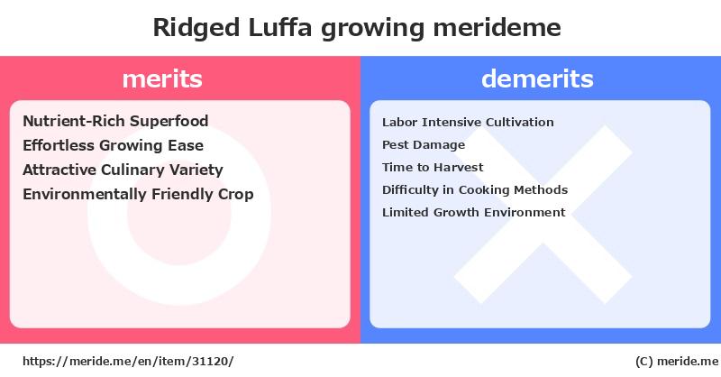 Ridged Luffa  merits and demerits?  [growing]  merideme