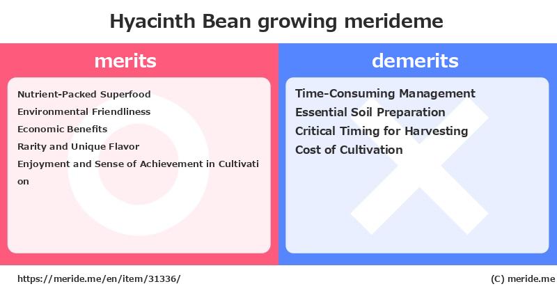 Hyacinth Bean  merits and demerits?  [growing]  merideme