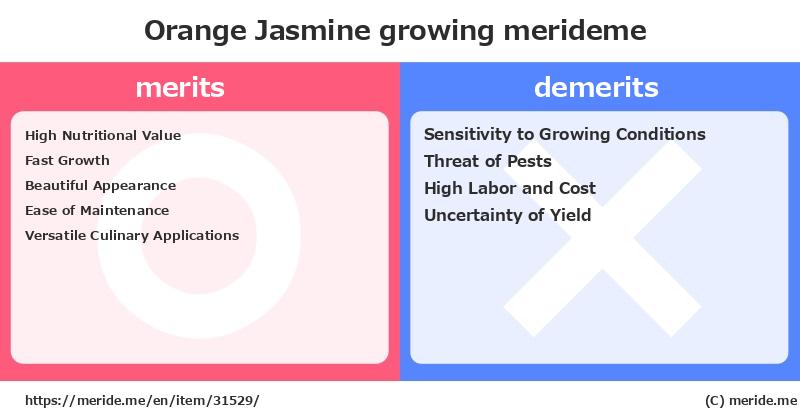 Orange Jasmine  merits and demerits?  [growing]  merideme