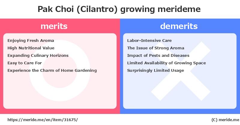 Pak Choi (Cilantro)  merits and demerits?  [growing]  merideme