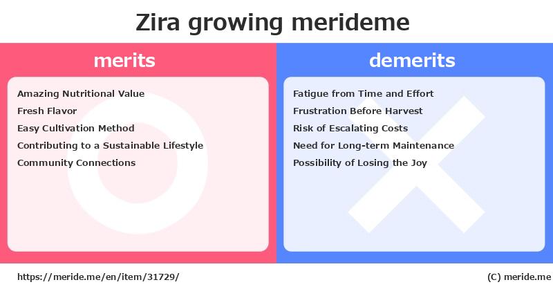 Zira  merits and demerits?  [growing]  merideme