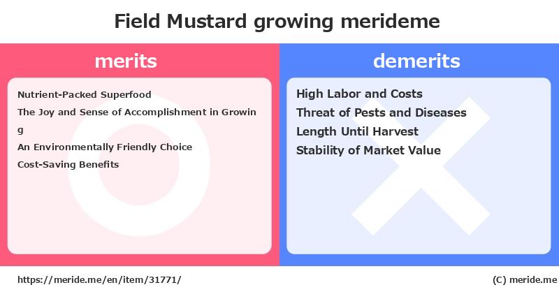 Field Mustard  merits and demerits?  [growing]  merideme