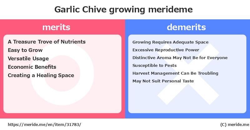 Garlic Chive  merits and demerits?  [growing]  merideme