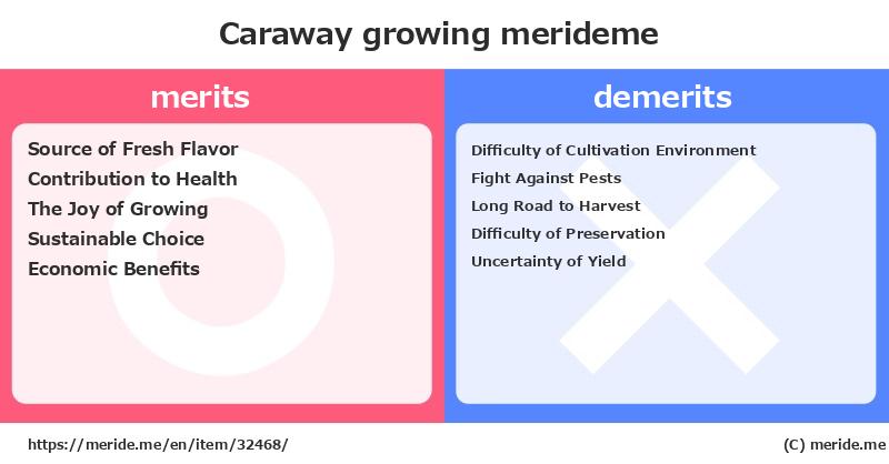 Caraway  merits and demerits?  [growing]  merideme