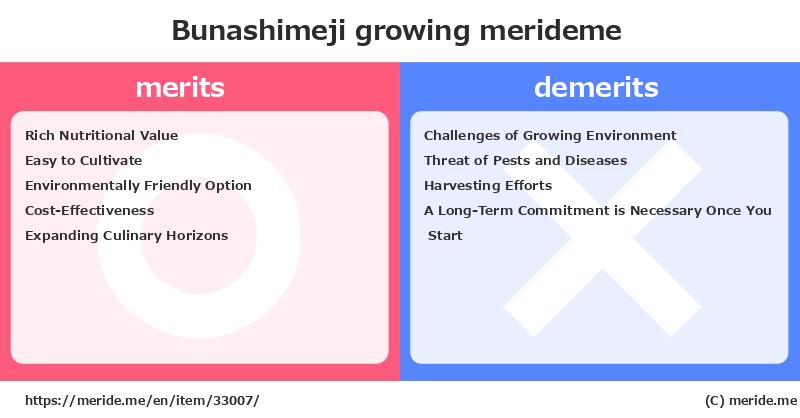 Bunashimeji  merits and demerits?  [growing]  merideme
