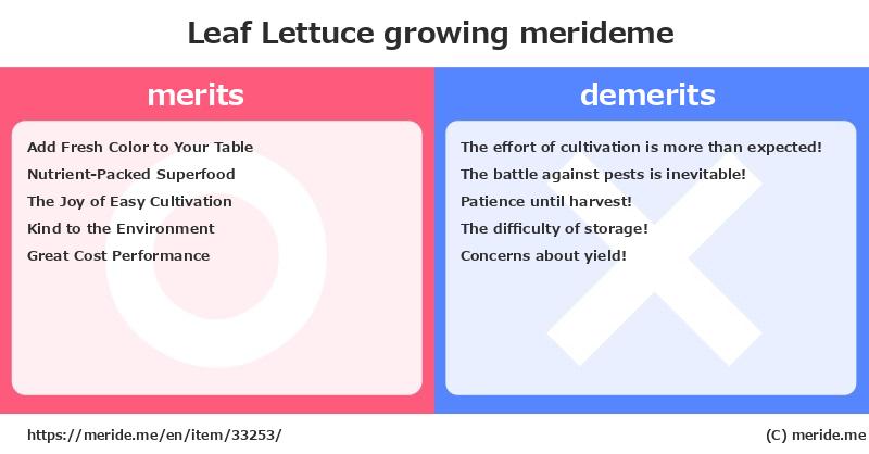 Leaf Lettuce  merits and demerits?  [growing]  merideme
