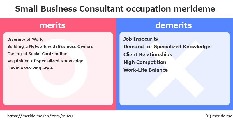 Small Business Consultant  merits and demerits?  [occupation]  merideme