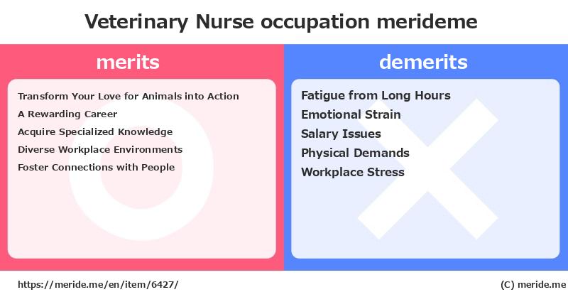 Veterinary Nurse  merits and demerits?  [occupation]  merideme