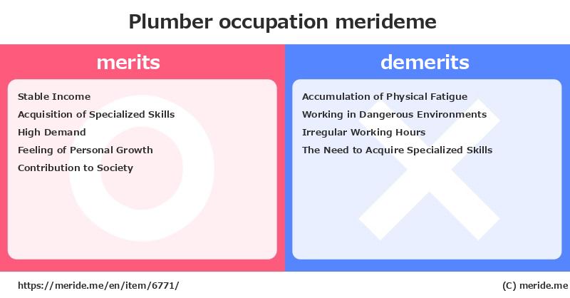 Plumber  merits and demerits?  [occupation]  merideme