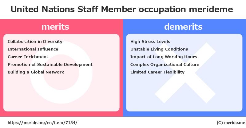 United Nations Staff Member  merits and demerits?  [occupation]  merideme