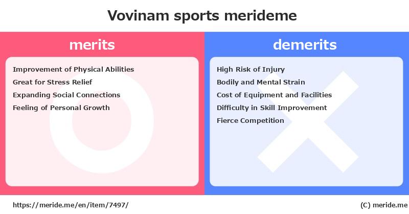 Vovinam  merits and demerits?  [sports]  merideme