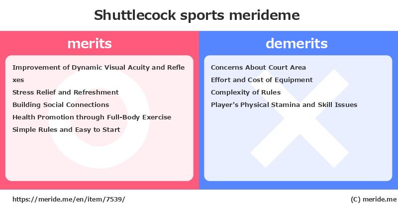 Shuttlecock  merits and demerits?  [sports]  merideme