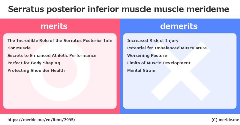 Serratus posterior inferior muscle  merits and demerits?  [muscle]  merideme