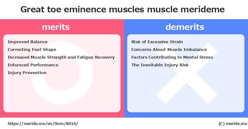 Great toe eminence muscles  merits and demerits?  [muscle]  merideme