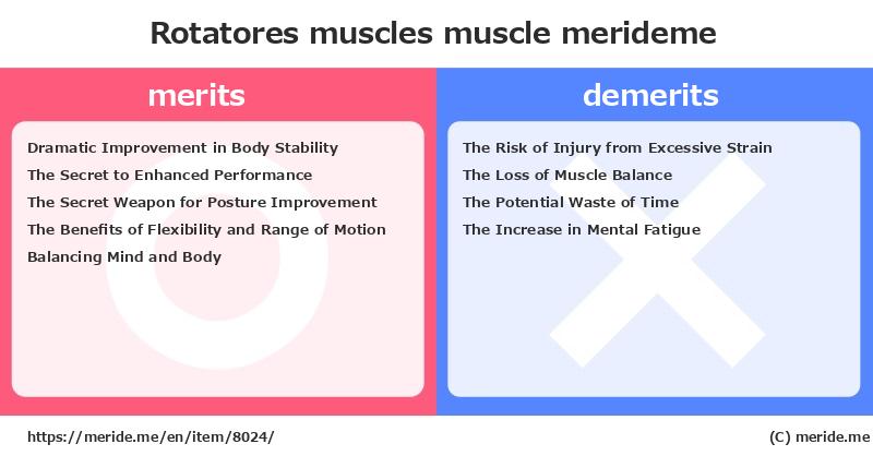Rotatores muscles  merits and demerits?  [muscle]  merideme