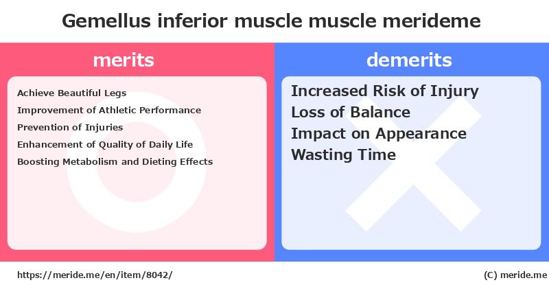 Gemellus inferior muscle  merits and demerits?  [muscle]  merideme
