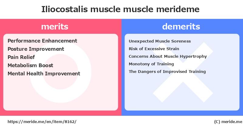 Iliocostalis muscle  merits and demerits?  [muscle]  merideme