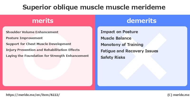 Superior oblique muscle  merits and demerits?  [muscle]  merideme