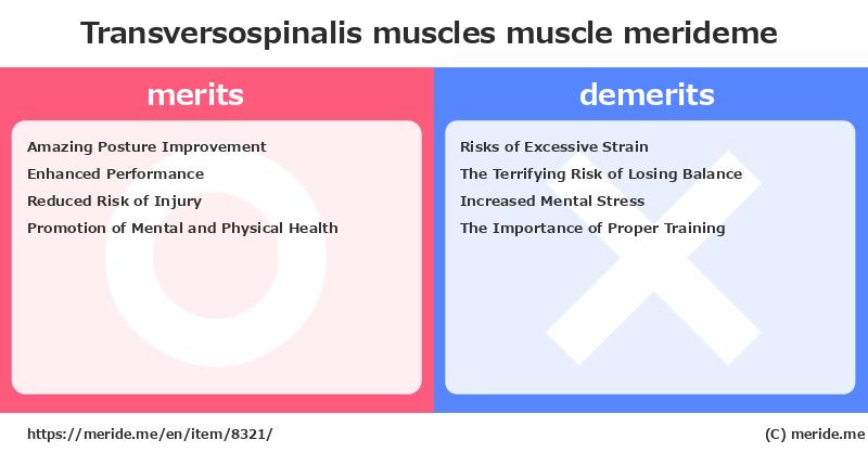Transversospinalis muscles  merits and demerits?  [muscle]  merideme