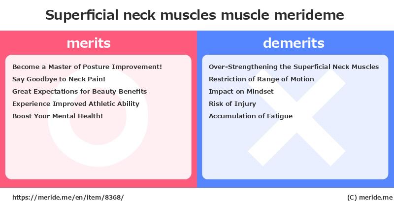 Superficial neck muscles  merits and demerits?  [muscle]  merideme