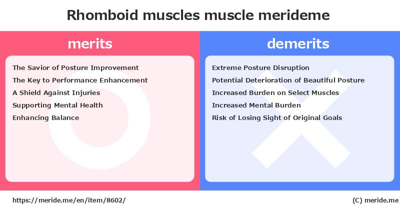 Rhomboid muscles  merits and demerits?  [muscle]  merideme