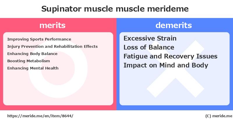 Supinator muscle  merits and demerits?  [muscle]  merideme