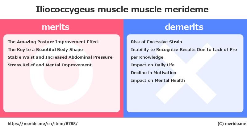 Iliococcygeus muscle  merits and demerits?  [muscle]  merideme